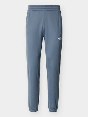 Spodnie treningowe The North Face szary