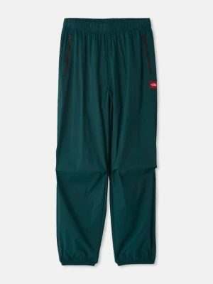 Spodnie treningowe The North Face ciemnozielony