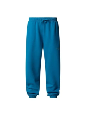 Spodnie treningowe The North Face niebieski