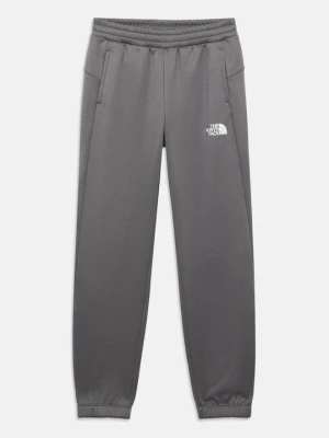 Spodnie treningowe The North Face szary