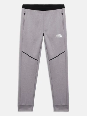 Spodnie treningowe The North Face szary