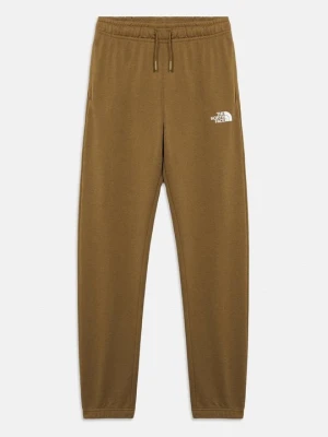 Spodnie treningowe The North Face taupe