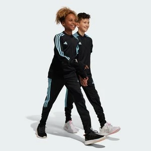 Spodnie treningowe Tiro 23 Club Adidas