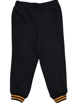 Spodnie treningowe Trendyol