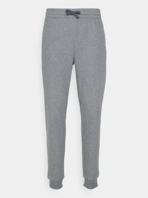 Spodnie treningowe Under Armour szary