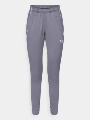 Spodnie treningowe Under Armour szary