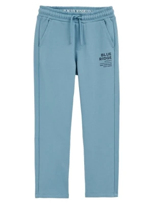Spodnie treningowe WE Fashion jasnoniebieski denim