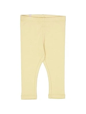 Spodnie treningowe Wheat