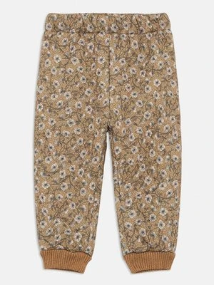 Spodnie treningowe Wheat