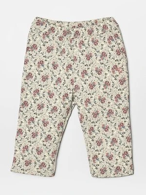 Spodnie treningowe Wheat