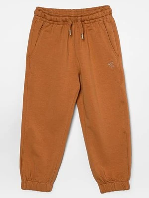 Spodnie treningowe Wheat