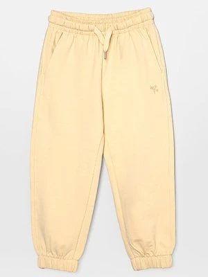 Spodnie treningowe Wheat