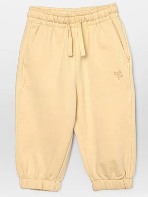 Spodnie treningowe Wheat