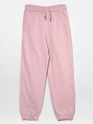 Spodnie treningowe Wheat