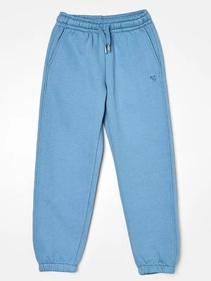 Spodnie treningowe Wheat