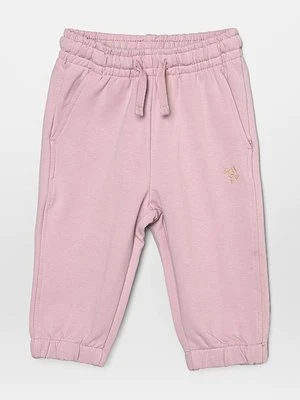 Spodnie treningowe Wheat