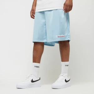 Karl Kani Sport Shadow Stripe Shorts mężczyźni Szorty sportowe niebieski rozmiar Odzież
