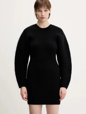 Sportmax sukienka Frank kolor czarny mini dopasowana 2512321031600