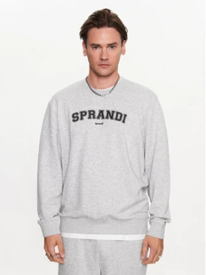 Sprandi Bluza SP3-BLM042 Szary Regular Fit
