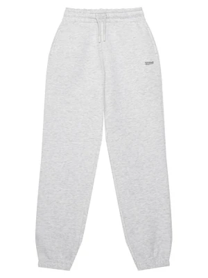 Sprandi Spodnie dresowe W126-SIBSP-1007-40M Szary Regular Fit