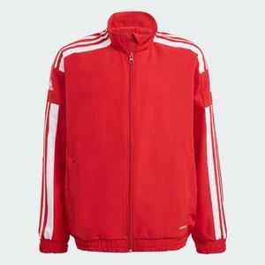 Squadra 21 Presentation Jacket Adidas