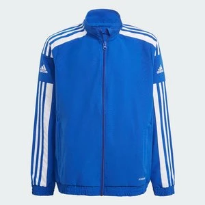 Squadra 21 Presentation Jacket Adidas