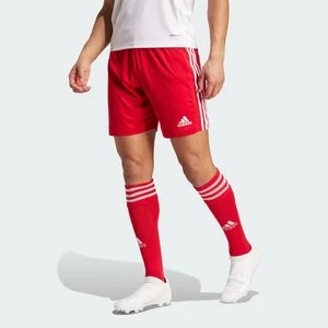 Squadra 21 Shorts Adidas