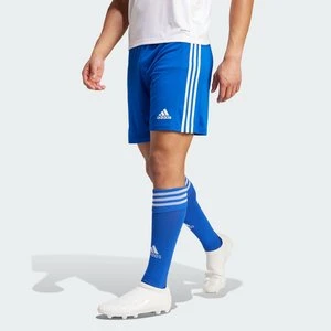 Squadra 21 Shorts Adidas