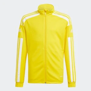 Squadra 21 Training Jacket Adidas