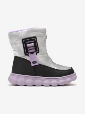 Srebrne Śniegowce na Grubej Podeszwie z Kolorową Wstawką i Suwakiem Debina