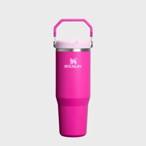 Stanley The IceFlow Flip Straw 2.0 Tumbler | 0,9L uniseks Różne fioletowy rozmiar Akcesoria