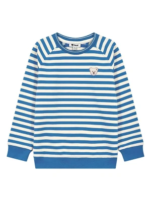 Steiff Bluza w kolorze niebiesko-białym rozmiar: 128