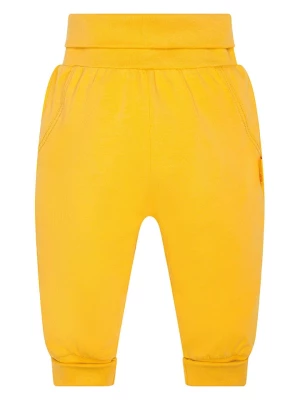 Steiff Spodnie dresowe w kolorze żółtym rozmiar: 80