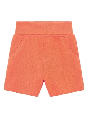 Steiff Szorty w kolorze pomarańczowym rozmiar: 62