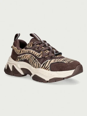 Steve Madden Animates-LE sneakersy damskie brązowy