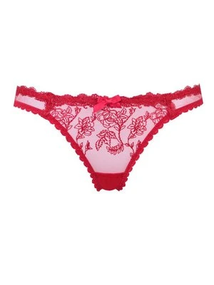 Stringi Agent Provocateur