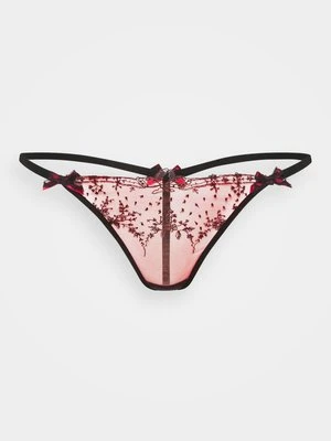 Stringi Agent Provocateur