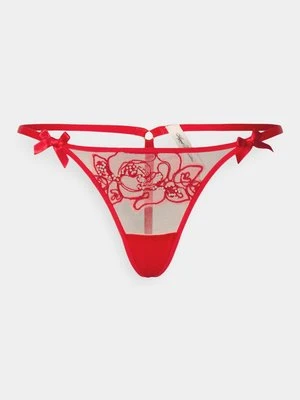 Stringi Agent Provocateur