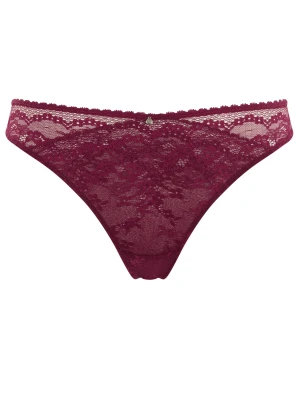 Stringi alexis Panache