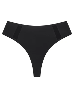 Stringi Blank Esotiq