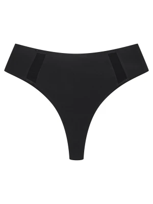 Stringi Blank Esotiq