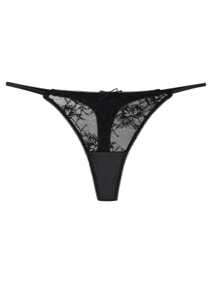 Stringi Blithely Esotiq