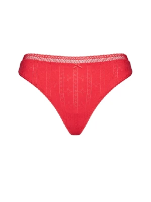 Stringi Bloovii Love Esotiq