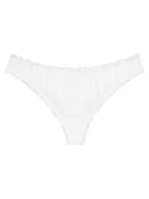 Stringi Bloovii Malesia P