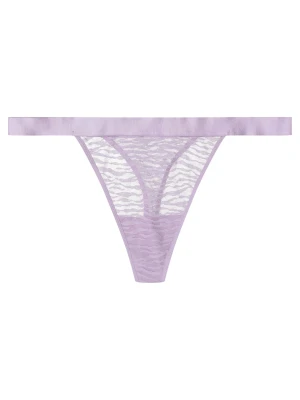 Stringi Bloovii Ohana Pozostałe