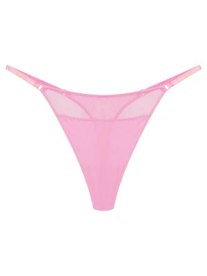 Stringi Bloovii Saoui Pozostałe