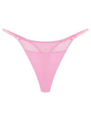 Stringi Bloovii Saoui Pozostałe