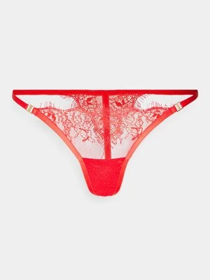 Stringi Bluebella