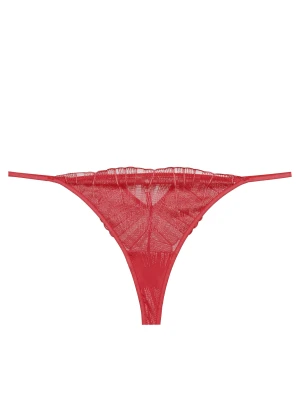 Stringi Bossa Esotiq