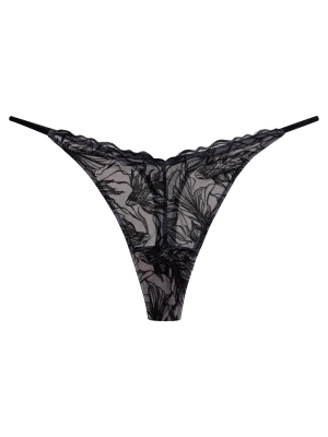 Stringi Bree Eva Minge x Esotiq